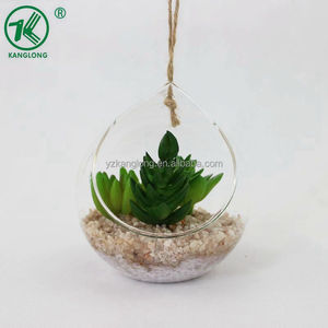 New Natural Minigreen Plant Multi-thịt Thiết Kế Độ Trong Suốt Cao <span class=keywords><strong>Pyrex</strong></span> Glass Dome Với Cơ Sở Cho Trang Trí Nội Thất - Product Image 2