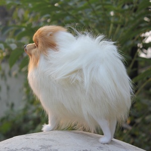 Simulación de miniatura animales sin relleno de piel blanca <span class=keywords><strong>Papillon</strong></span> <span class=keywords><strong>perro</strong></span> estatuilla - Product Image 3