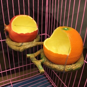 Heyri-cuenco alimentador de comida para mascotas, tazón de agua de alta calidad, naranja, Granada, fruta, pájaro, <span class=keywords><strong>Hamster</strong></span>, taza de jardín, cuencos alimentadores de aves y frutas - Product Image 2