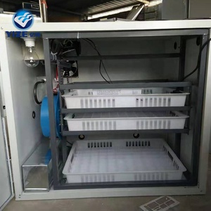 ตู้ฟักไข่อุตุรุ่นประหยัดพลังงานขนาดเล็กสำหรับไข่ 200 ฟอง พร้อมถาดฟักไข่พลาสติก - Product Image 6