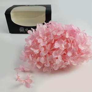 <span class=keywords><strong>Hortensias</strong></span> <span class=keywords><strong>Preservadas</strong></span> Anna para Todo Tipo de Decoración Festiva - Product Image 3