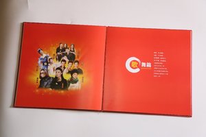 Hardcover Unternehmen der Werbe Activitiy Fotobuch - Product Image 2