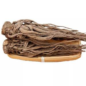 Precio de fábrica Sinensis confitada <span class=keywords><strong>Angelica</strong></span> L <span class=keywords><strong>Angelica</strong></span> - Product Image 1