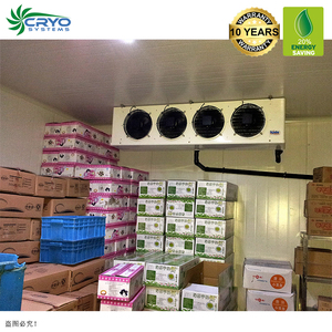 <span class=keywords><strong>Miami</strong></span> enfriadores modular cámara frigorífica marisco congelados de anchoa sala de cámara frigorífica modular - Product Image 4