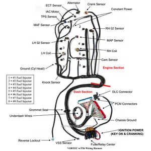 CNCH 1999 - 2003 LS Vortec 4.8 5.3 6.0エンジンスタンドアロン配線ハーネス (T56または非電子トランスミッション (DBC) 付き)