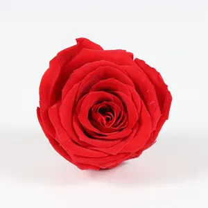 freeze dried roses 4-5cm flower head preserved roses from Kunming