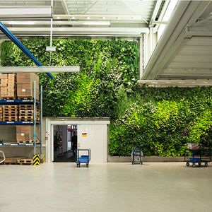 Ourwarm — avion mural paysager, toutes sortes de plantes artificielles pour décoration de maison - Product Image 1