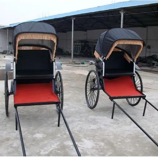 Used rickshaw for sale/ two wheels steel rickshaw with blue hood for sale