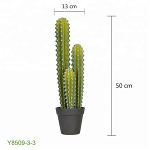 <span class=keywords><strong>Vendita</strong></span> Calda: Pianta di Cactus Artificiale in Spugna da 50cm con 3 Steli - Product Image 2