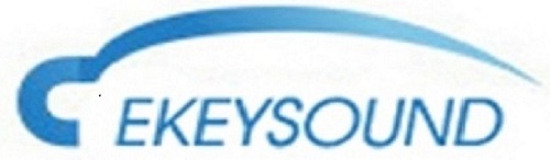 Changzhou Ekeysound Electronics Co., Ltd.