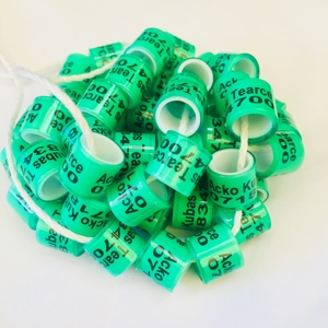 Plastic duif ringen met goede kwaliteit en goedkopere prijs gebruik voor postduif custom plastic ring bands voor duiven - Product Image 5