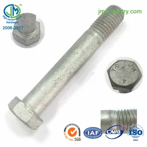 Type0/1 Head ASTM A394 Tower Bolt HDG Hot Dip Galvanized Hex Bolt