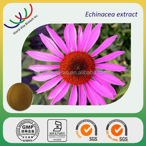 <span class=keywords><strong>Hplc</strong></span> kosher fda 2% 4% ácido chicórico, 4% ácidos fenólicos, 4% 8% echinacea echinacea purpurea extracto de polifenoles - Product Image 4
