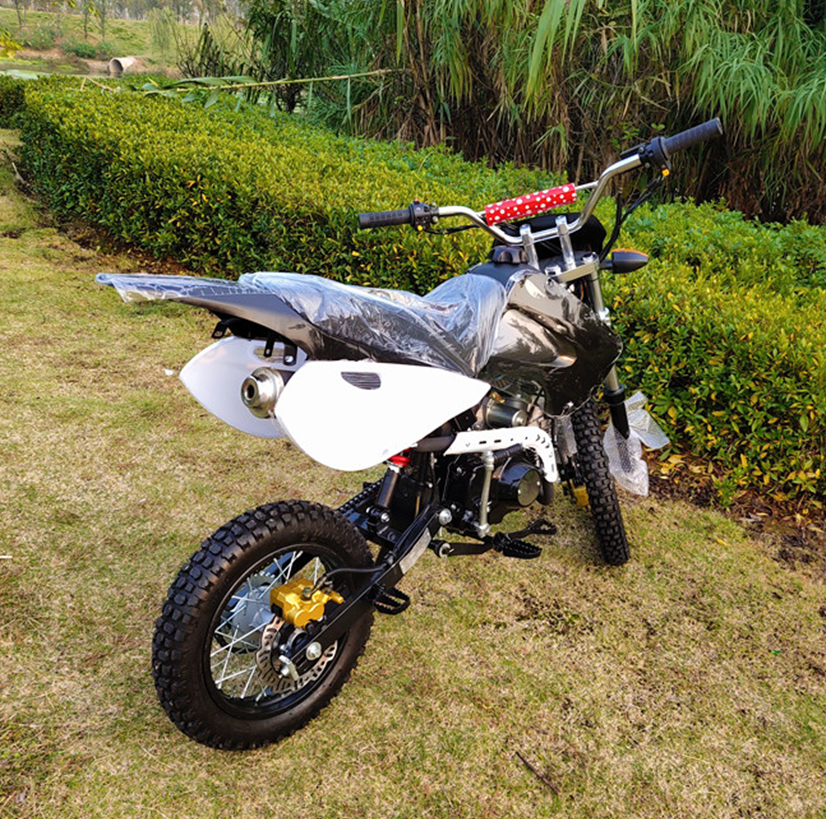 Питбайк Monster Energy 125