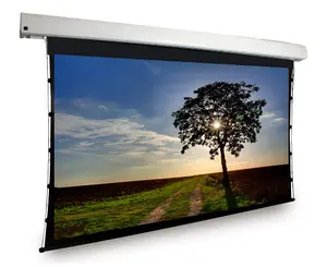 200'' large Motorized Tab Tensioned projector screens electric projection screen big motorized projector screen