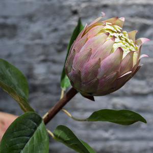 Protea-Flor artificial para decoración del hogar, flor de seda para boda, venta al por mayor - Product Image 2
