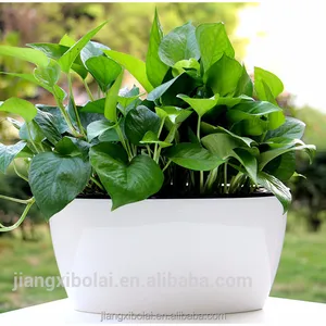 Self Watering Planter Goedkope Bloempot