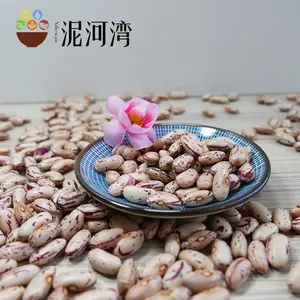 Vente en gros 2023 Chine haricots mouchetés légers/haricot de sucre rouge/haricot de pinto