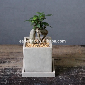 Vaso da fiori in <span class=keywords><strong>cemento</strong></span> <span class=keywords><strong>di</strong></span> forma quadrata in stile semplice con piattino per la decorazione del giardino <span class=keywords><strong>di</strong></span> casa utilizzato con fiori/piante verdi vaso da 10cm/12cm moderno - Product Image 6
