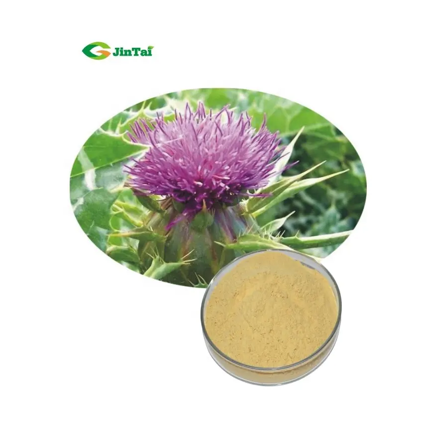 Silybum silybum marianum extract Milk thistle extract powder 80% silymarin