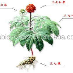 gmp koscher natürliche panax <span class=keywords><strong>notoginseng</strong></span> wurzelextrakt - Product Image 3