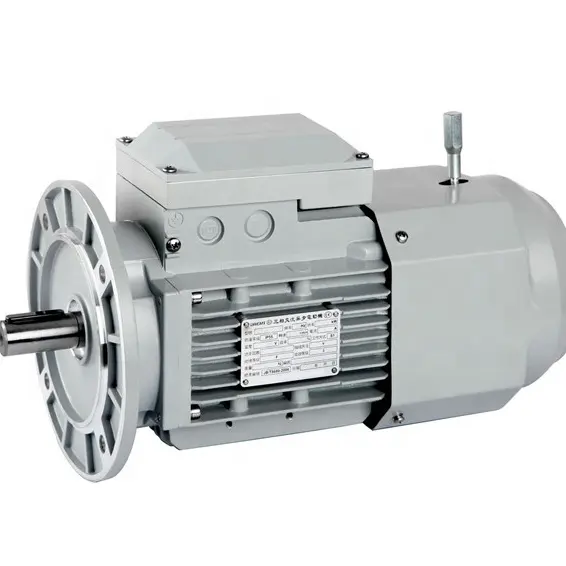 Y2 56M22 0.12kw Pequeño motor eléctrico de 220V con 5000 RPM Caja de cambios de reducción de motor de CA asíncrono Frecuencia de 50Hz