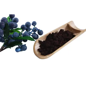 Ekstrak Bilberry 25% Antosianin