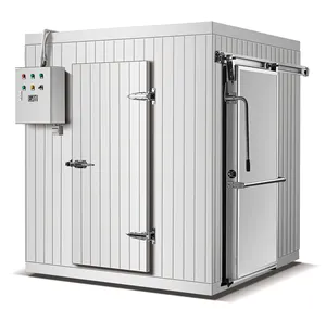 Customized 40 feet freezer containers stainless steel cold room