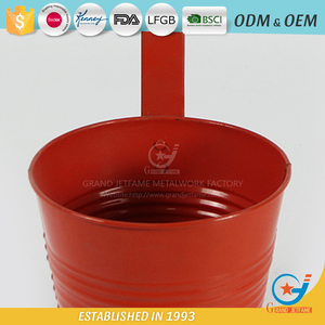 Comercio al por mayor <span class=keywords><strong>de</strong></span> hierro galvanizado con recubrimiento <span class=keywords><strong>en</strong></span> polvo olla jardín <span class=keywords><strong>plantas</strong></span> decorativas para colgar <span class=keywords><strong>macetas</strong></span> - Product Image 5
