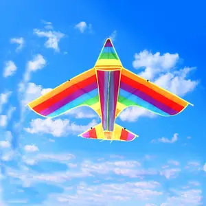 Customized rainbow plane kite
