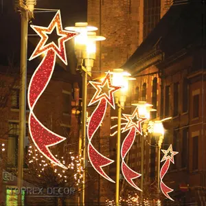Toprex 장식 야외 LED 거리 크리스마스 장식 2D 극 문자열 로프 모티브 빛