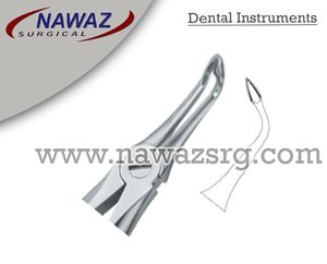 Pinzas para Extracción de Dientes Fig146, Manuales, de Acero Inoxidable de Alta Calidad, Certificación CE, Instrumentos Dentales, Venta Caliente, Logotipo Personalizado - Product Image 2