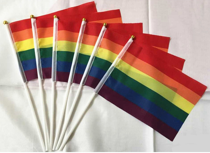 gay lesbian pride rainbow small hand flag