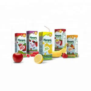 Carton Gelamineerd Papier aluminiumfolie doos drank apple sap PAK