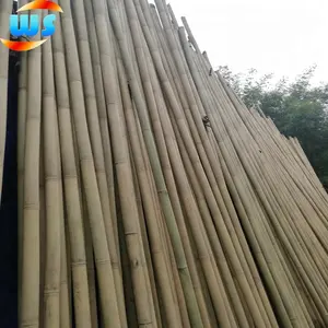 Vara de pesca de bambu