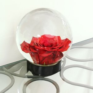 Decorazione personalizzata contenitore <span class=keywords><strong>di</strong></span> plastica regali <span class=keywords><strong>fai</strong></span> <span class=keywords><strong>da</strong></span> <span class=keywords><strong>te</strong></span> <span class=keywords><strong>globo</strong></span> <span class=keywords><strong>di</strong></span> <span class=keywords><strong>neve</strong></span> vuoto - Product Image 2