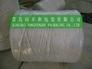 Ensilaje heno <span class=keywords><strong>guita</strong></span> <span class=keywords><strong>cuerda</strong></span> PP - Product Image 1