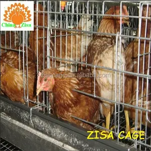Broiler poultry layer farming cage equipment cheap price high quality