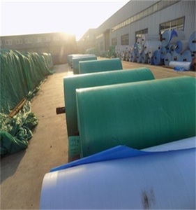 <span class=keywords><strong>Pas</strong></span> <span class=keywords><strong>cher</strong></span> roulant bâche tissu en gros pe bâche/pe bâche rouleau - Product Image 1