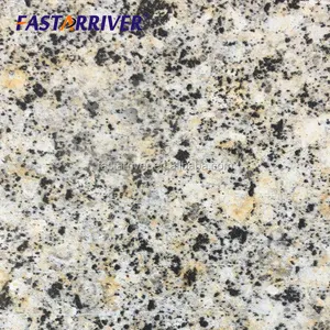 Pvdf Aluminum Coil High Gloss PVDF Color Painting Stone Marble Grain Coated Aluminum Coil