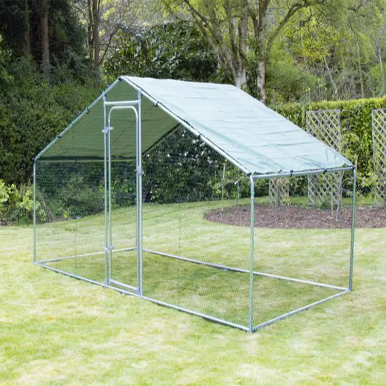 Custom Metalen Frame Lopen In Kip Poulailler Voor Outdoor Achtertuin