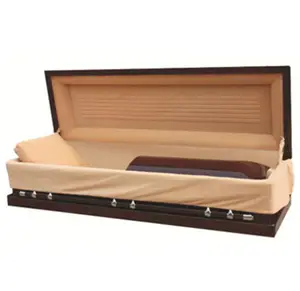 ของเล่น casket ไทเทเนียม coffin ที่แพงที่สุด