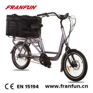 FRANFUN 2 roue <span class=keywords><strong>vélo</strong></span> <span class=keywords><strong>cargo</strong></span> électrique 48V500W mi lecteur LCD affichage néerlandais marchandises e-<span class=keywords><strong>vélo</strong></span> - Product Image 1