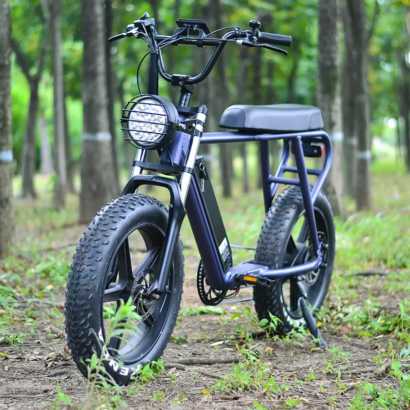 2019 48V 500W 전기 편평한 좌석 자전거, ebike, 전기 자전거