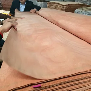 Hot selling veneer for marquetry laser cutting machine buildplex