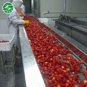 Fraises surgelées IQF de haute qualité au meilleur <span class=keywords><strong>prix</strong></span>, <span class=keywords><strong>prix</strong></span> par tonne pour usage en restauration - Product Image 3