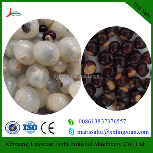 Lichi, rambután, Longan Semillas Máquina Separadora 2-3 t/h máquina <span class=keywords><strong>de</strong></span> Pelado y picado <span class=keywords><strong>de</strong></span> Lichi - Product Image 4