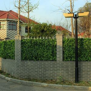 artificiale di plastica vite edera siepe recinzione - Product Image 4