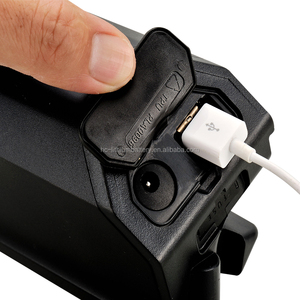 Personnalisé Disponible Bon Prix Argent Poisson 36v 12ah Batterie Au Lithium pour Vélo De Montagne Électrique/Scooter Électrique - Product Image 4