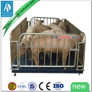 Hochleistungs-elektronische Tierarzt-Rinder, die Boden waage wiegen Edelstahl konstruktion Keli Wäge zelle Digitale LED-Anzeige <span class=keywords><strong>LCD</strong></span>